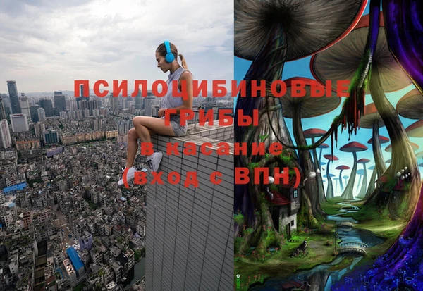 герыч Бородино